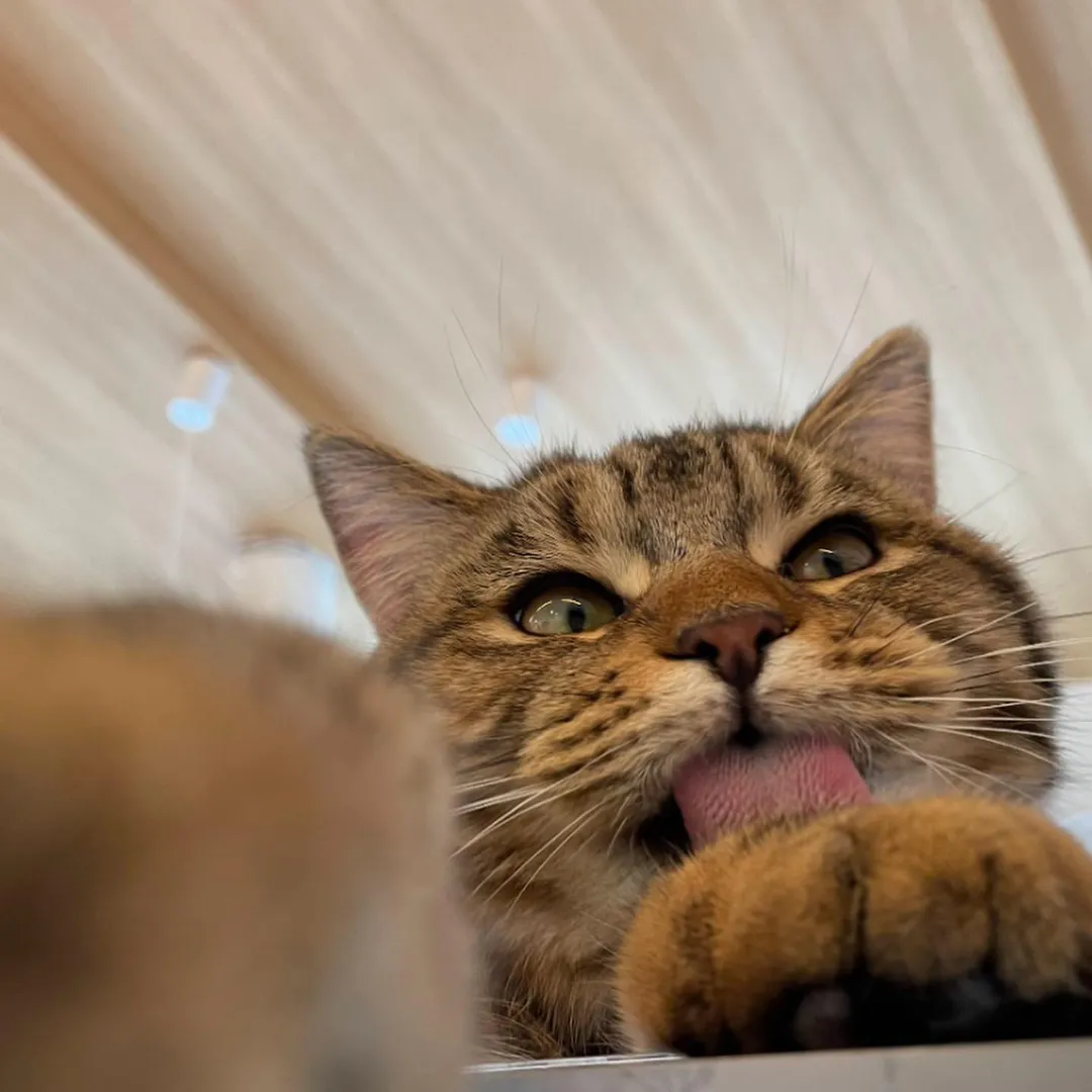 投稿の写真4