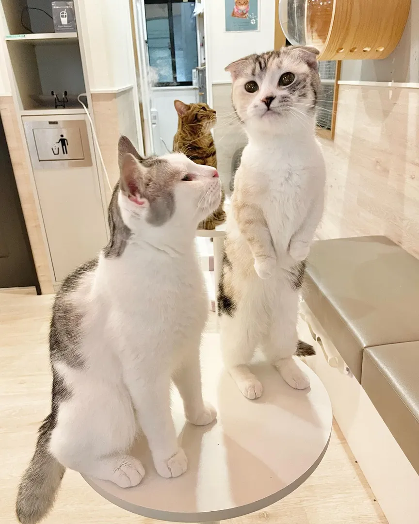 投稿の写真2