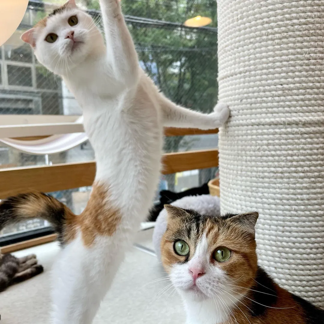 投稿の写真2
