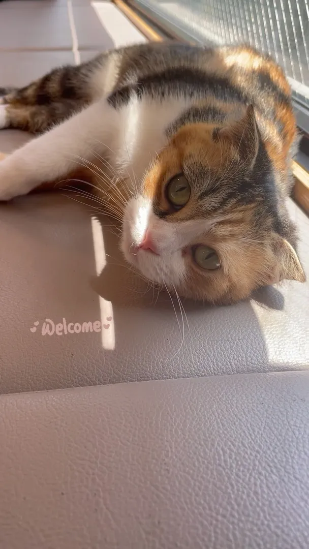 投稿の写真