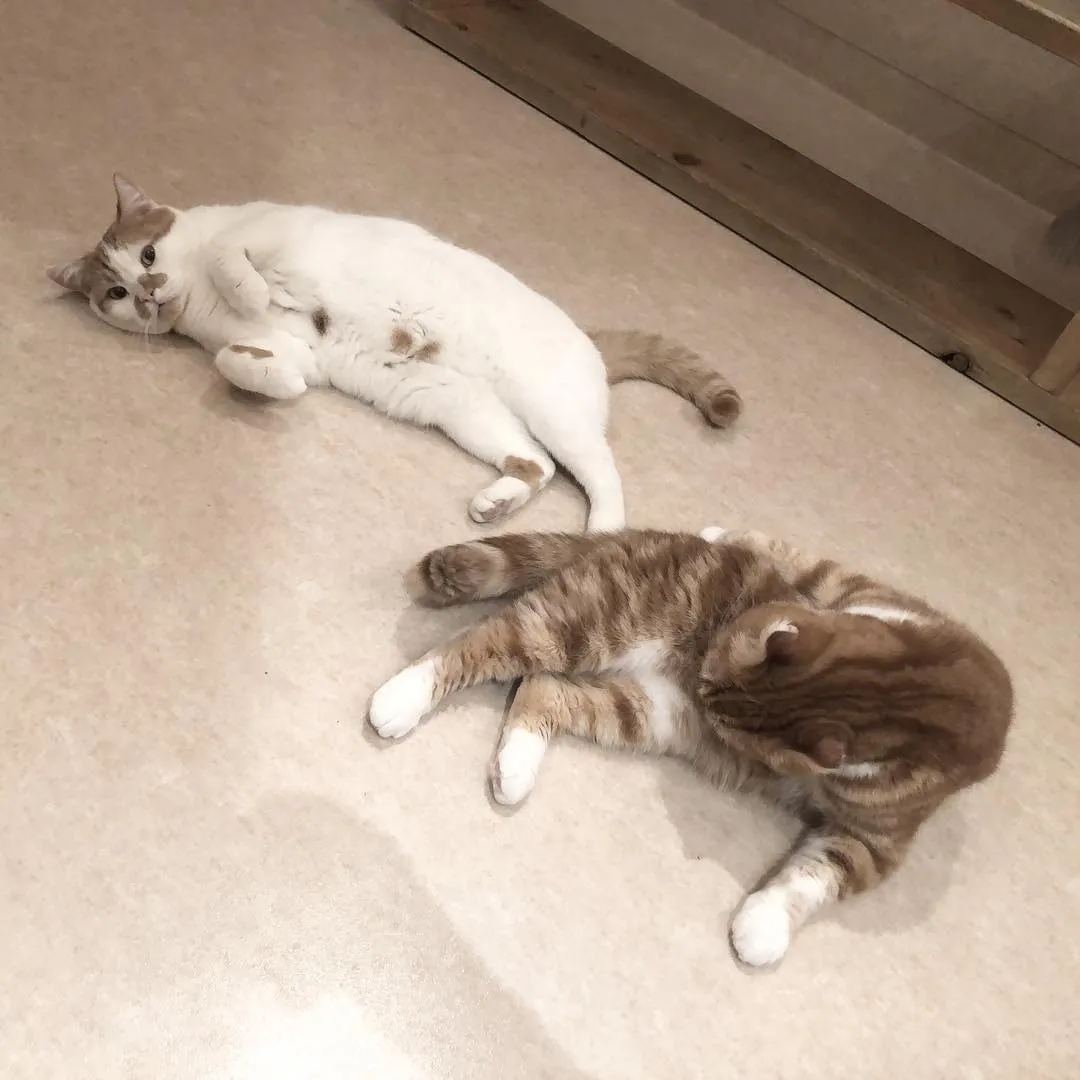 投稿の写真