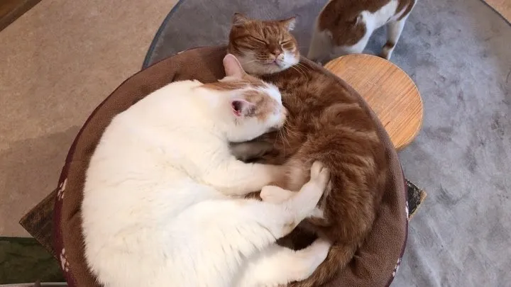 投稿の写真2