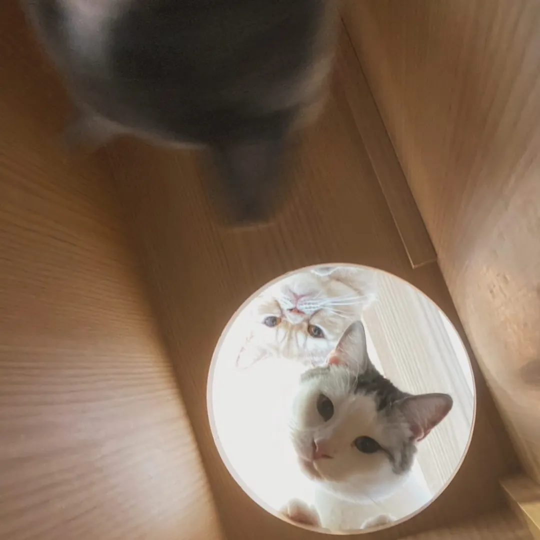 投稿の写真