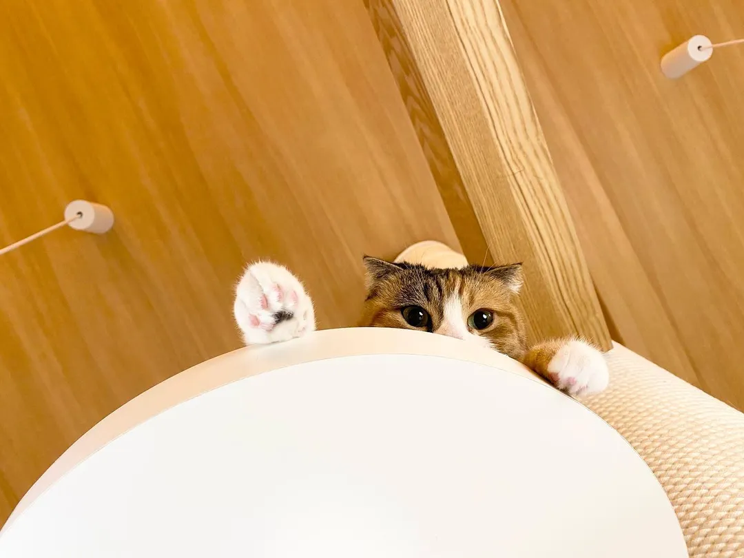 投稿の写真2