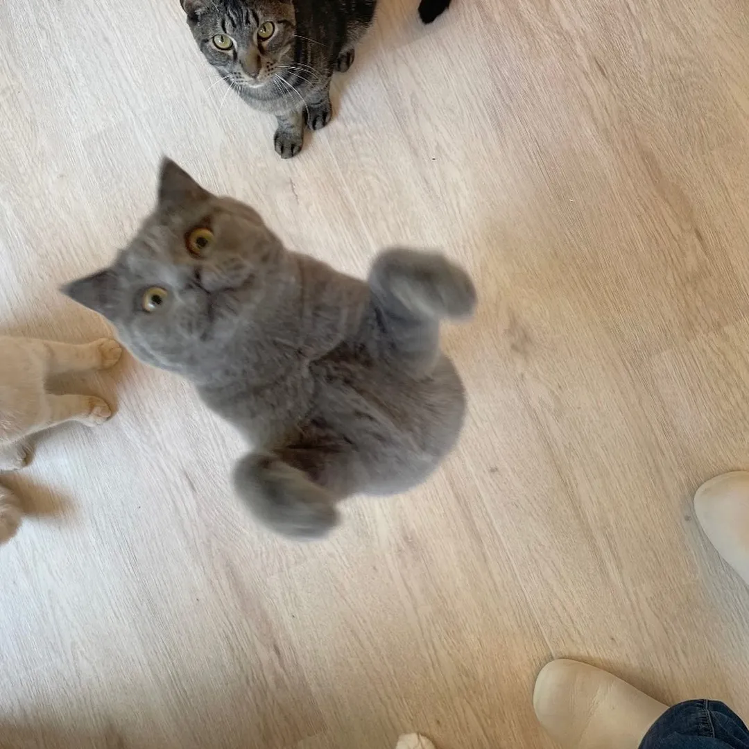 投稿の写真5