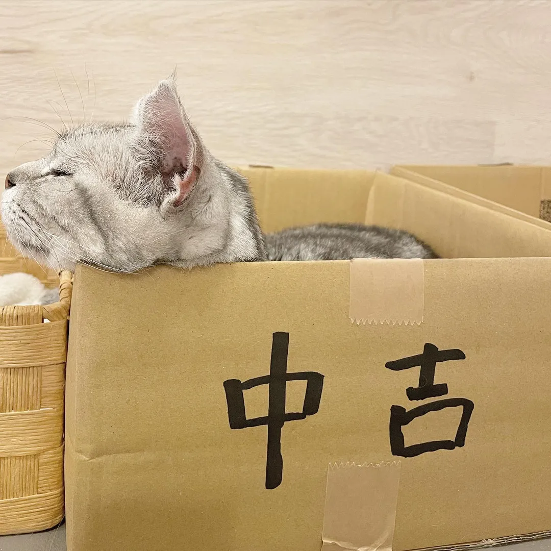 投稿の写真4
