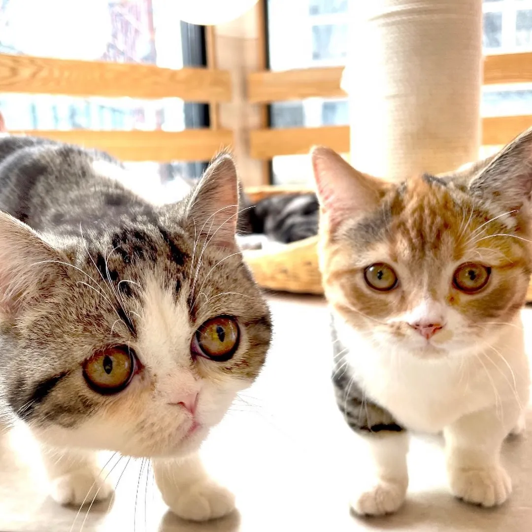 投稿の写真3