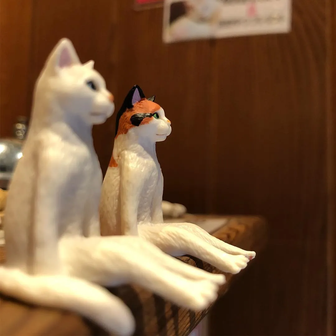 投稿の写真5