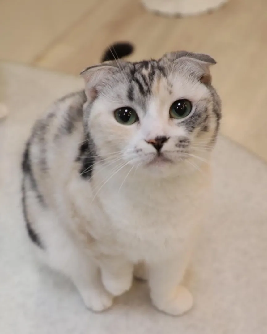 投稿の写真7