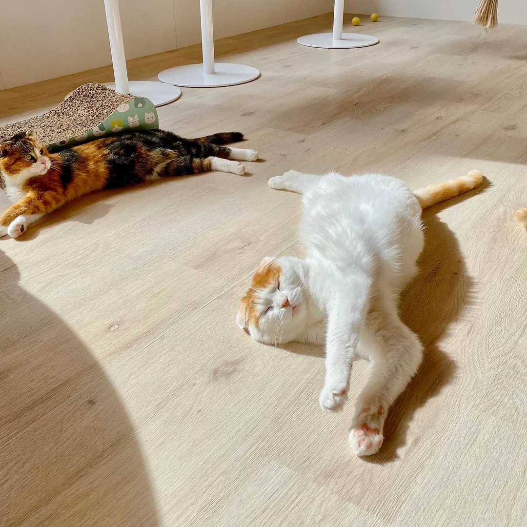 投稿の写真2