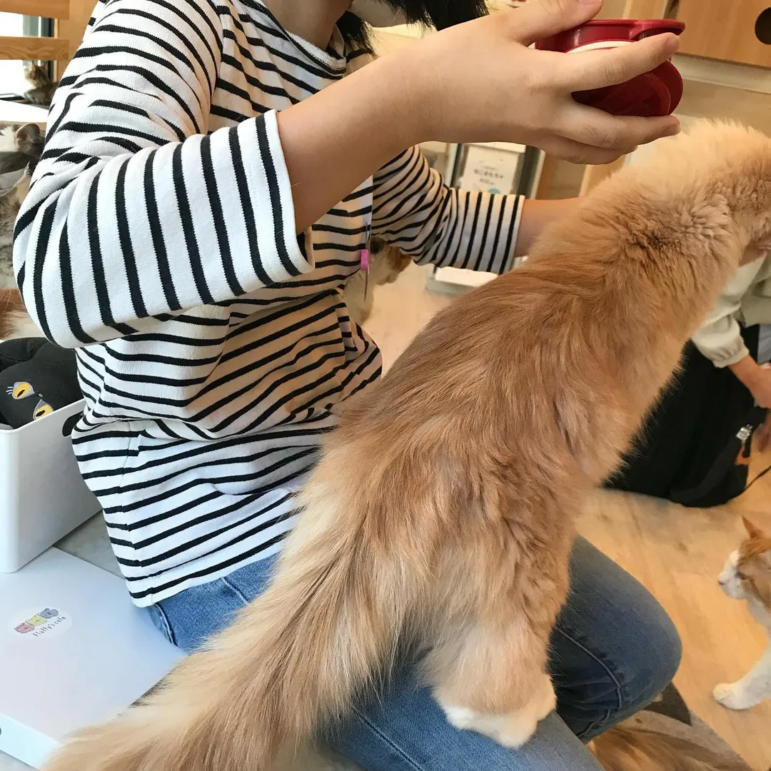 投稿の写真3