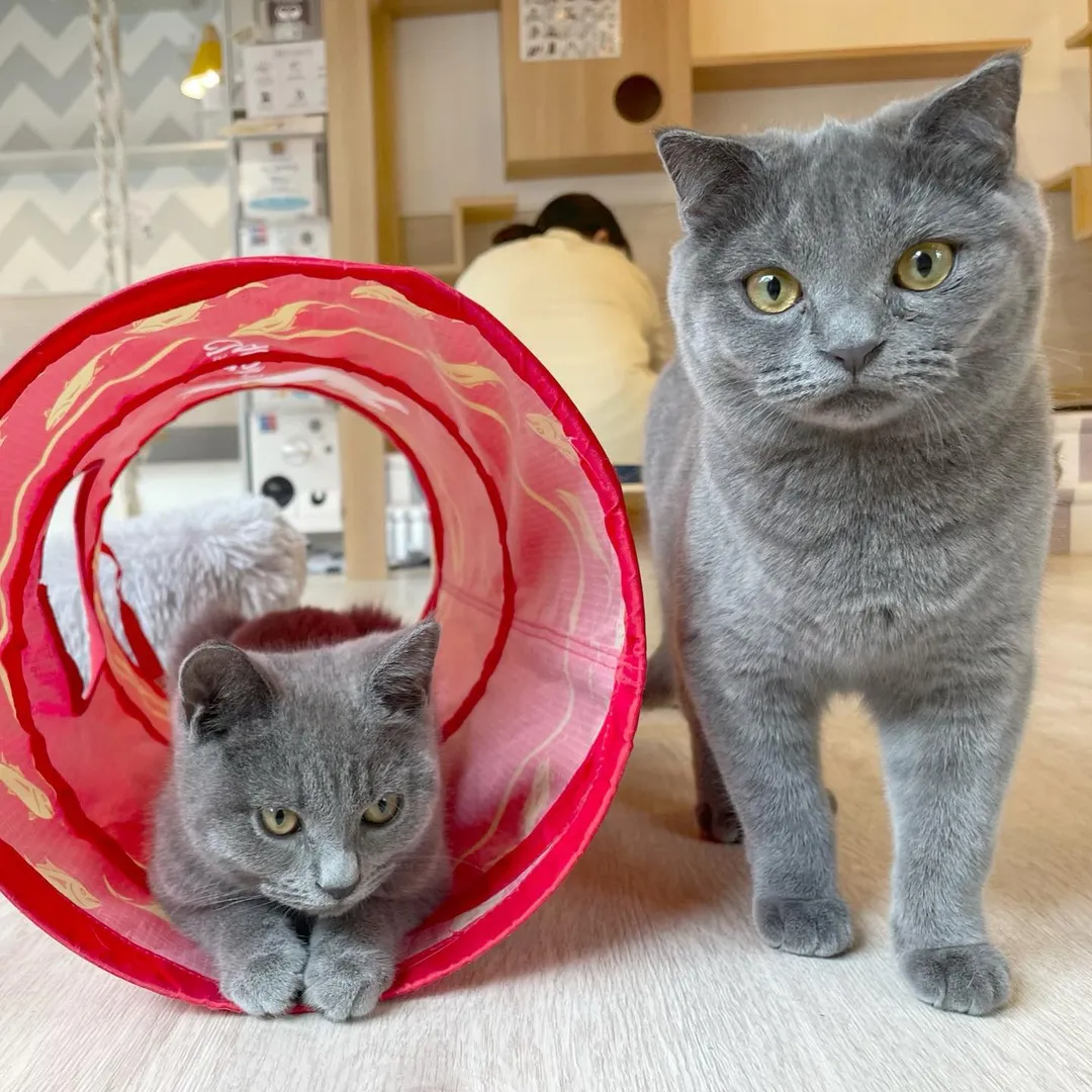 投稿の写真2