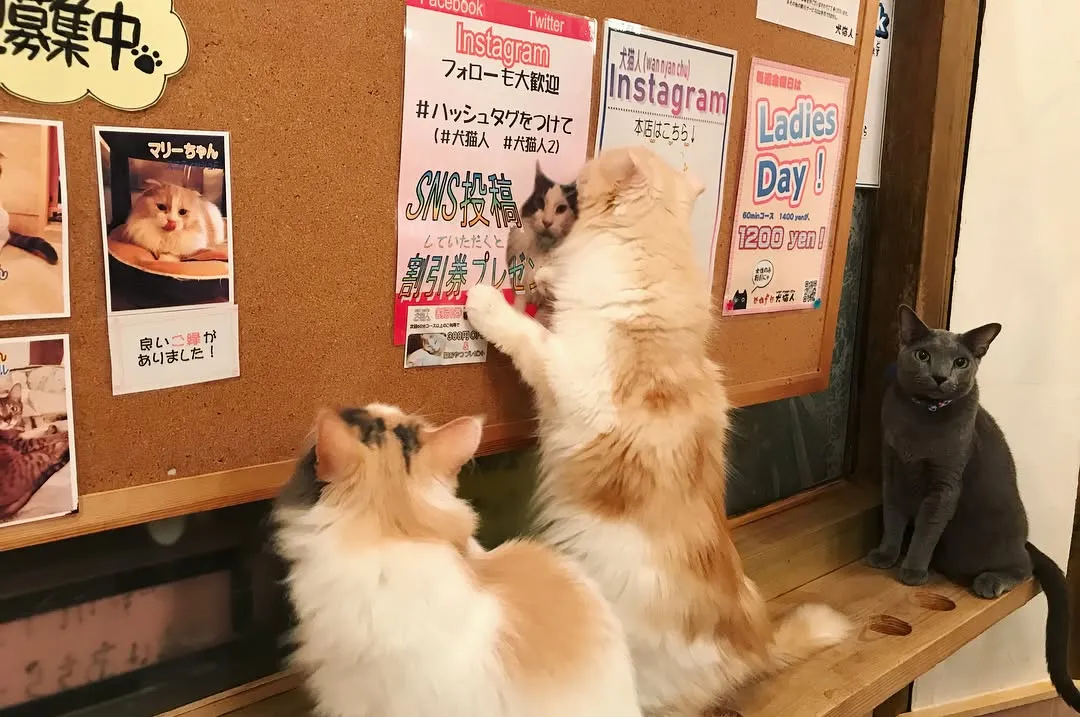 投稿の写真3