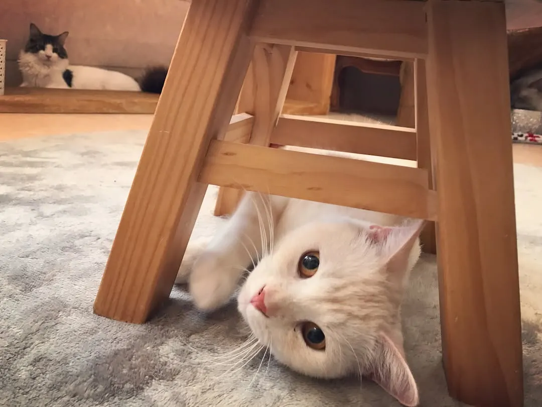投稿の写真3