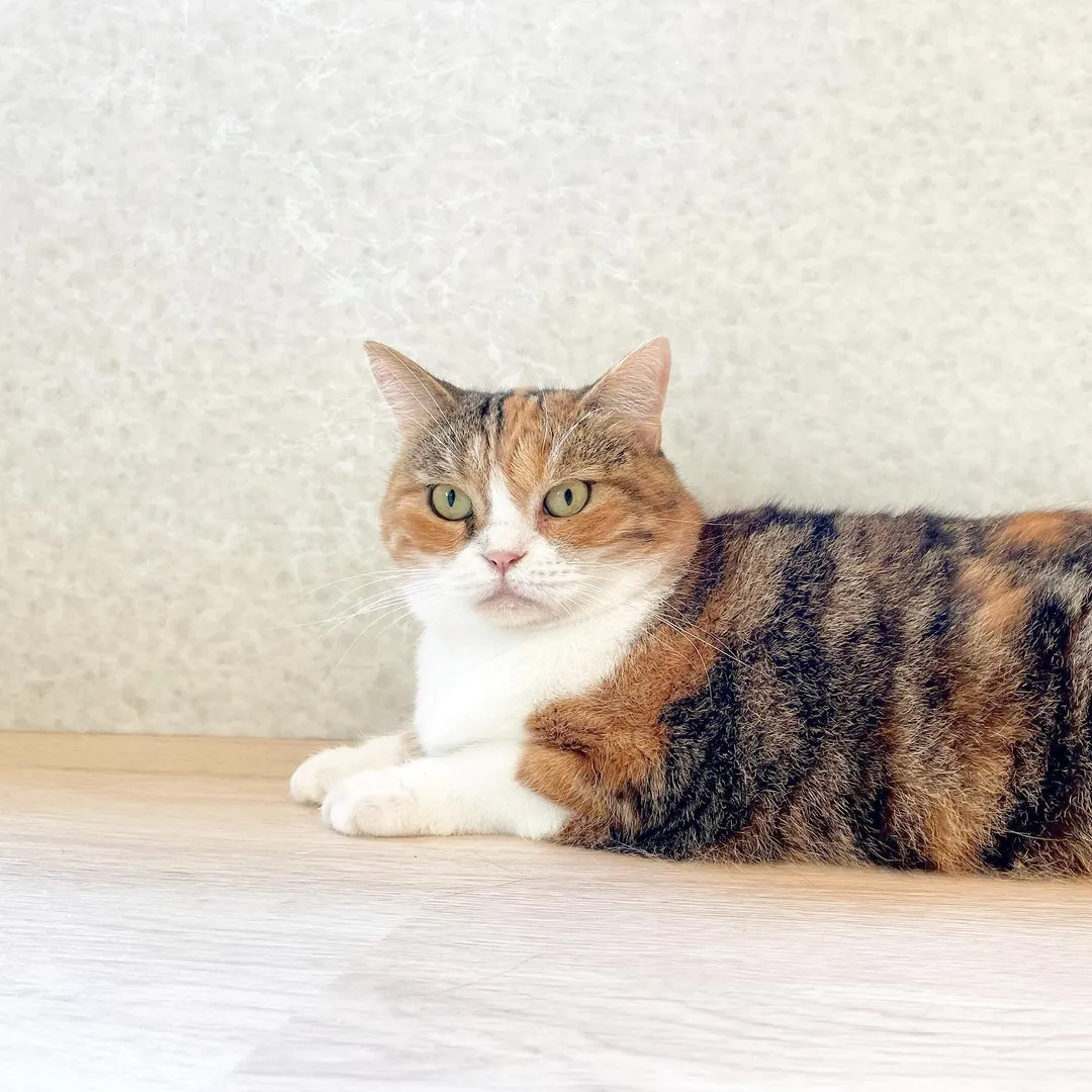 投稿の写真2