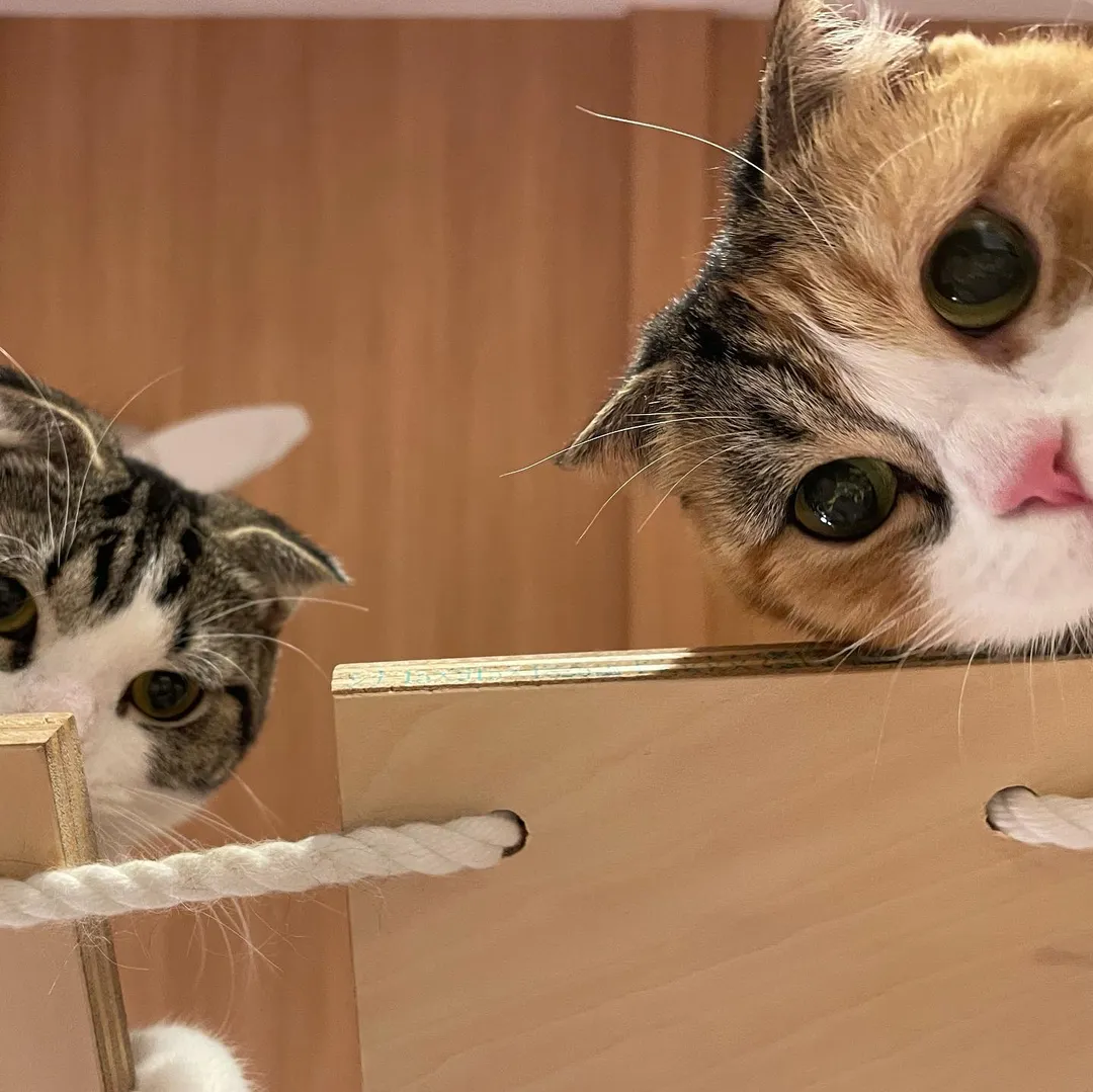投稿の写真3