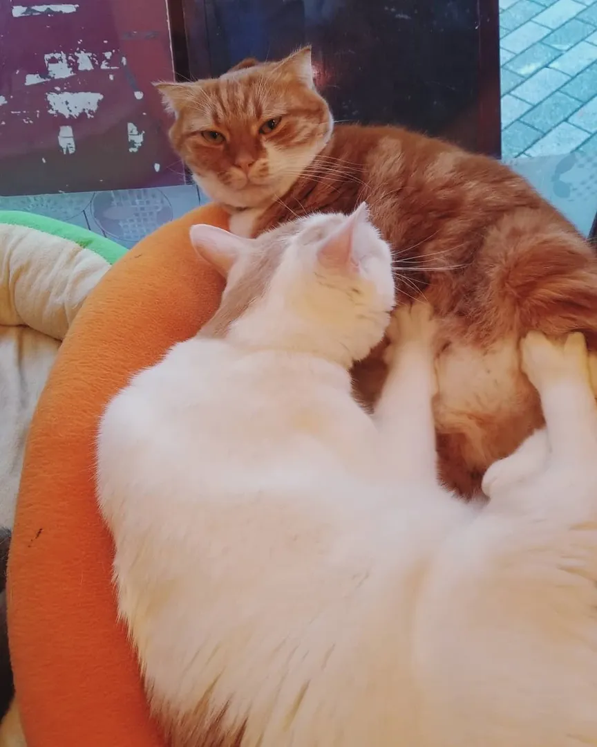 投稿の写真2