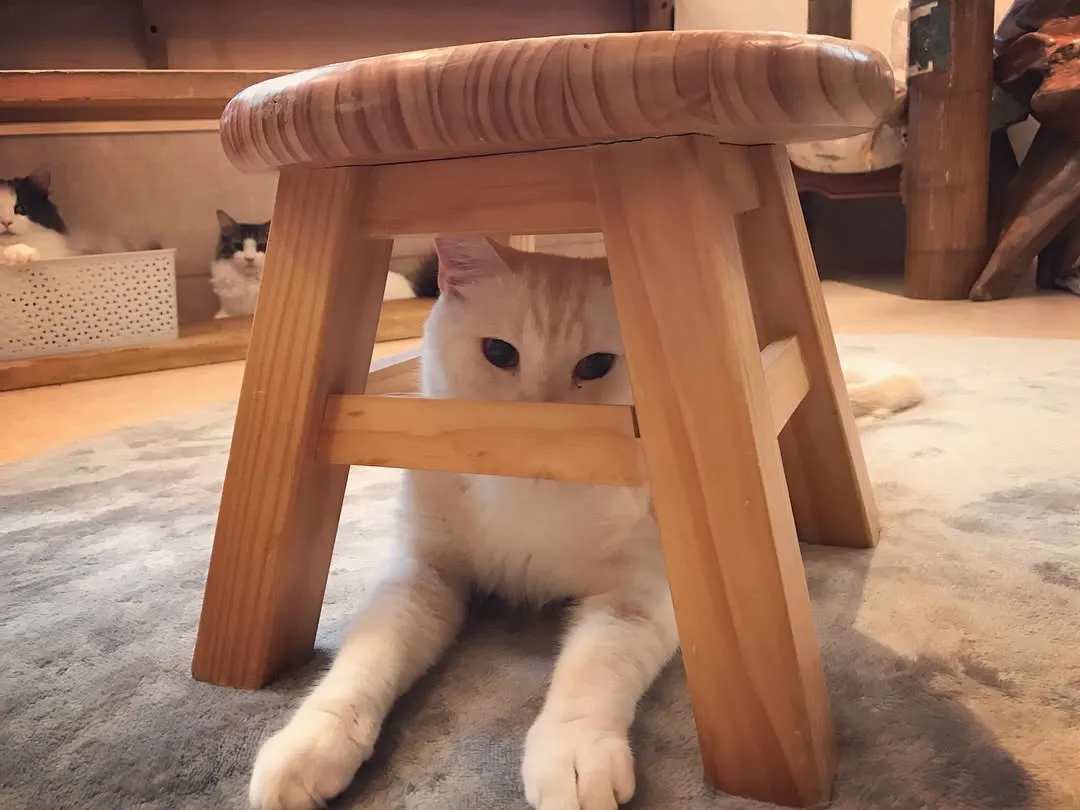投稿の写真2