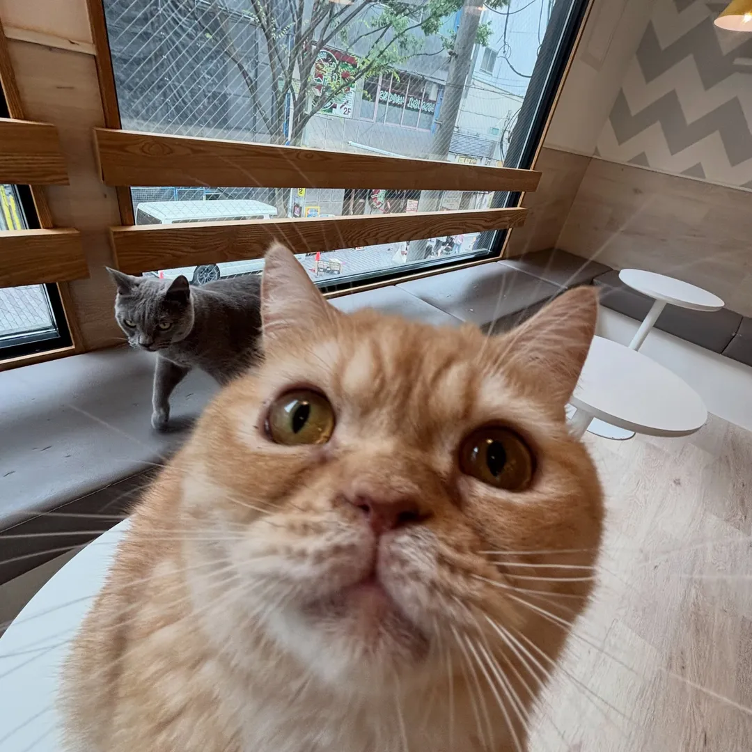 投稿の写真4