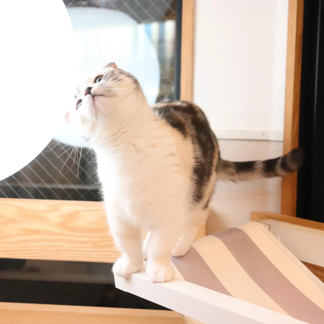 投稿の写真3