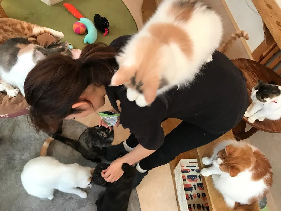 投稿の写真8