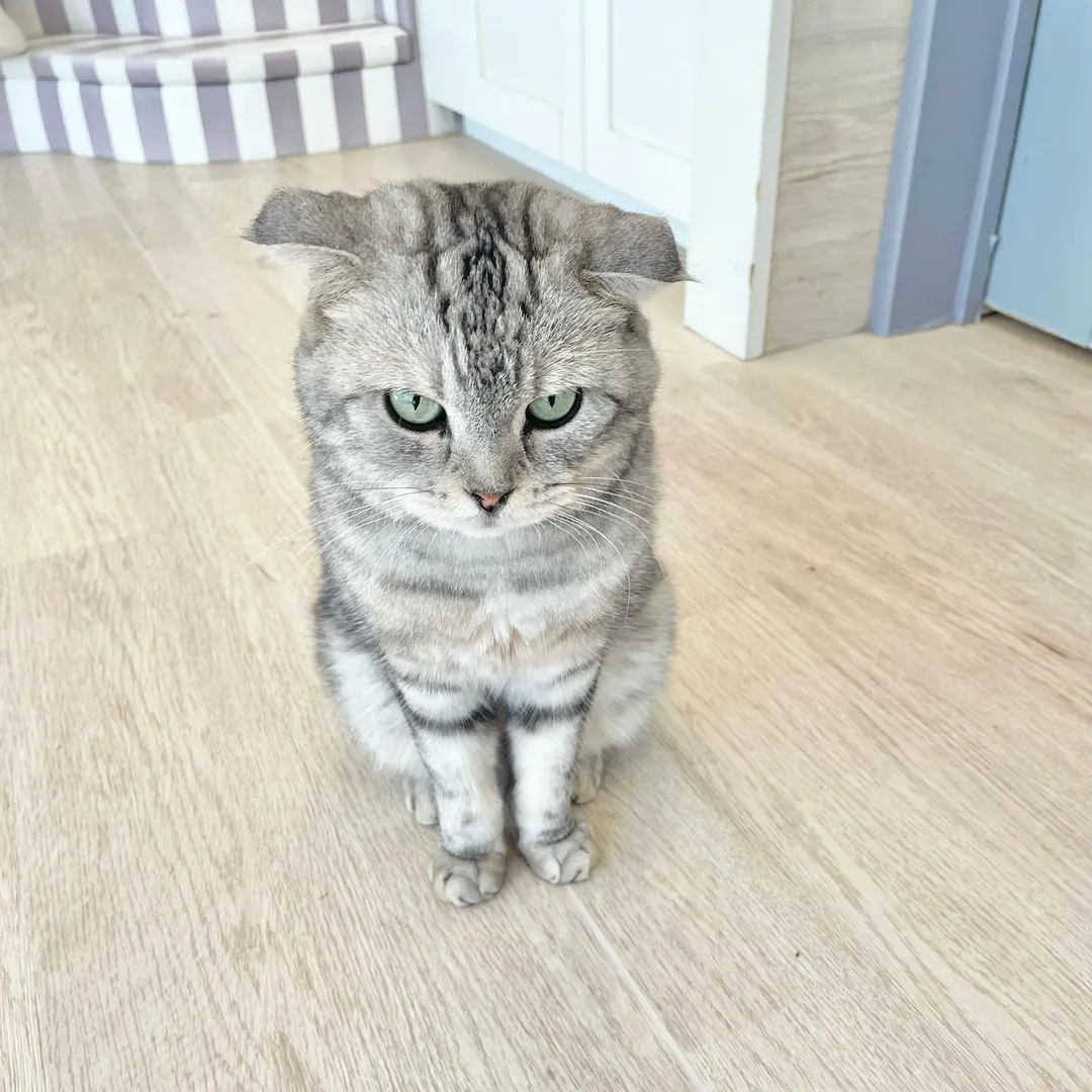 投稿の写真5