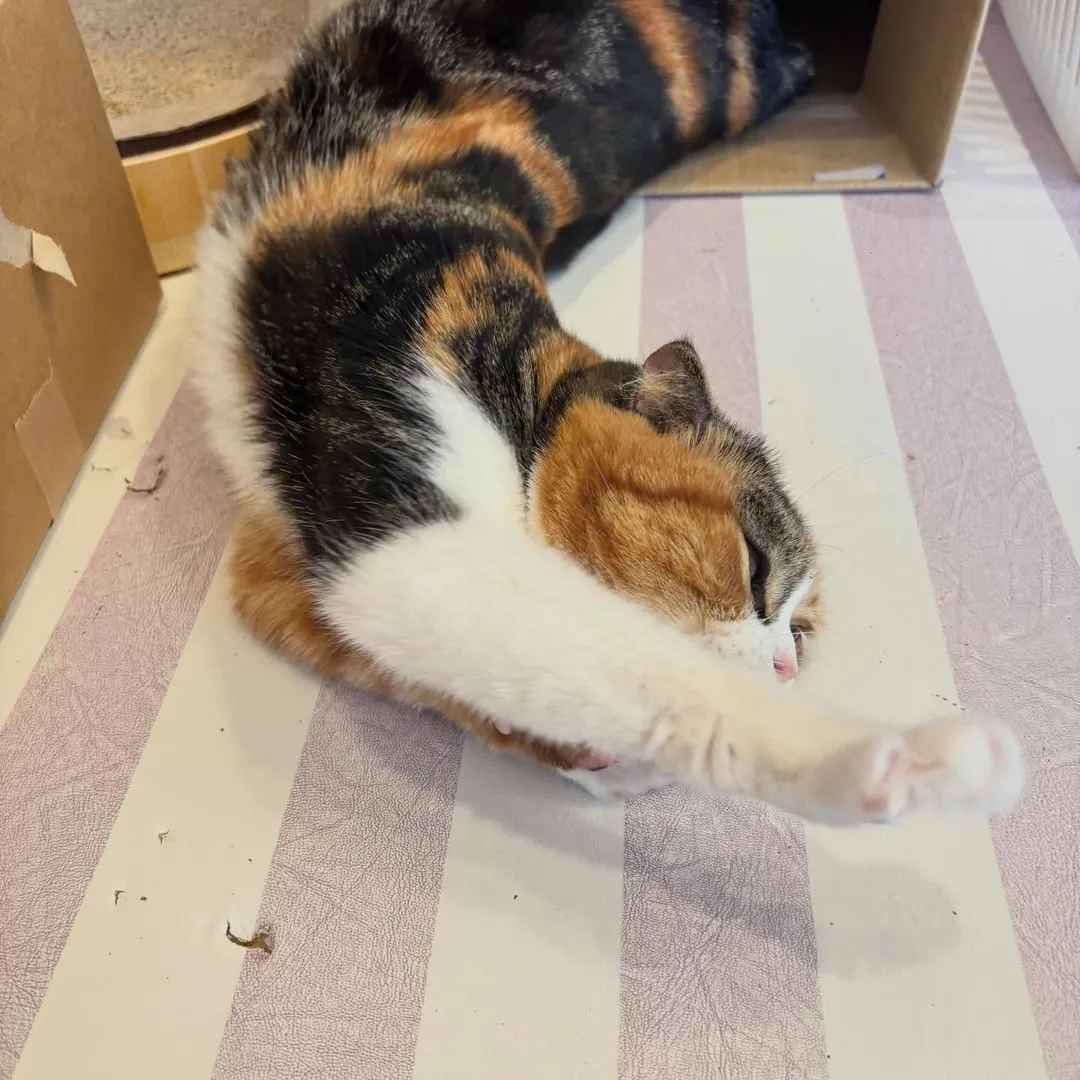 投稿の写真3