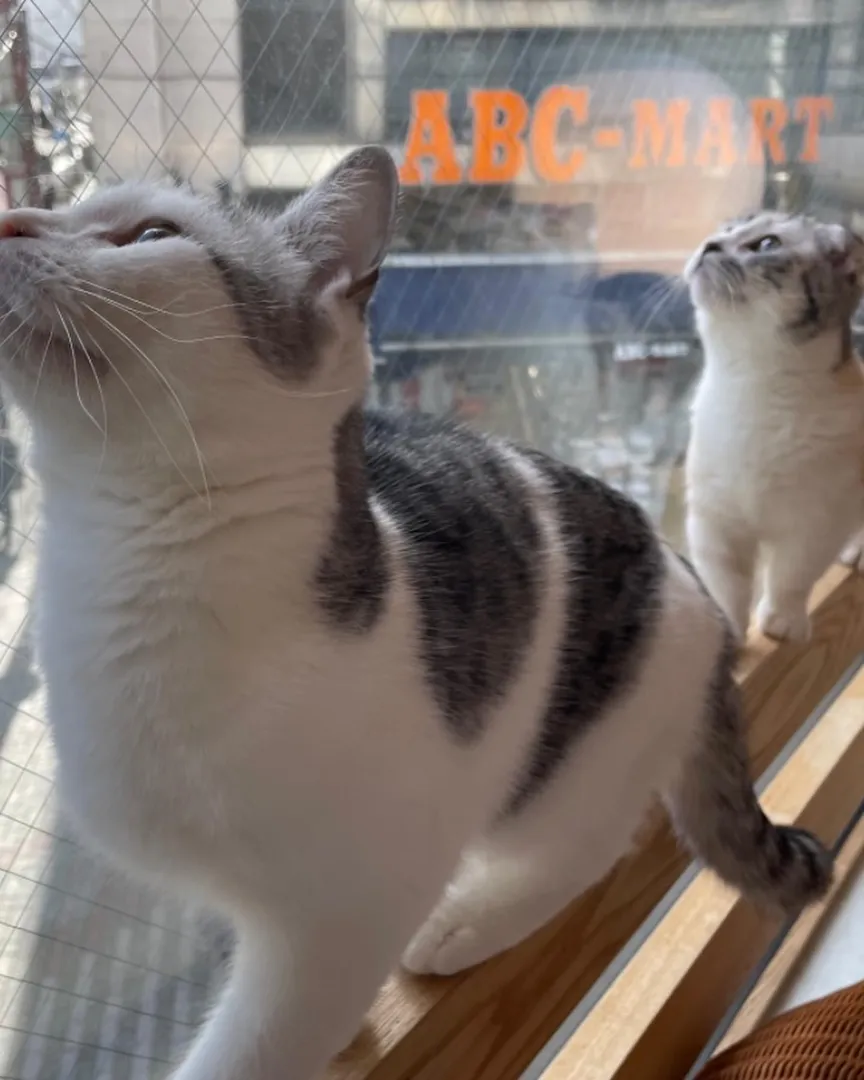 投稿の写真4