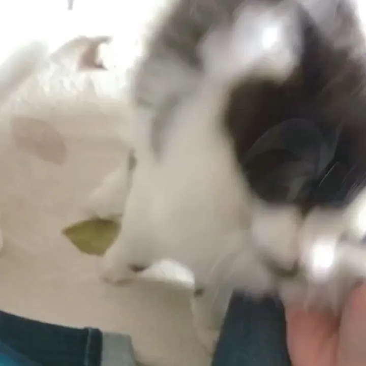 投稿の写真2
