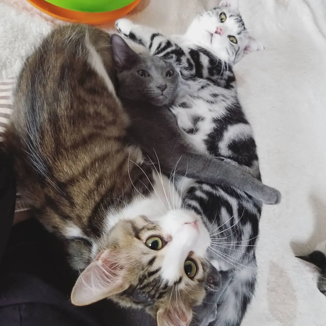投稿の写真2