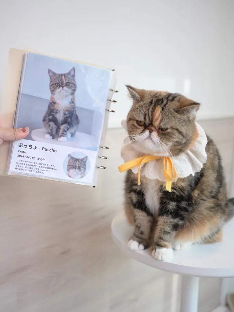 投稿の写真2