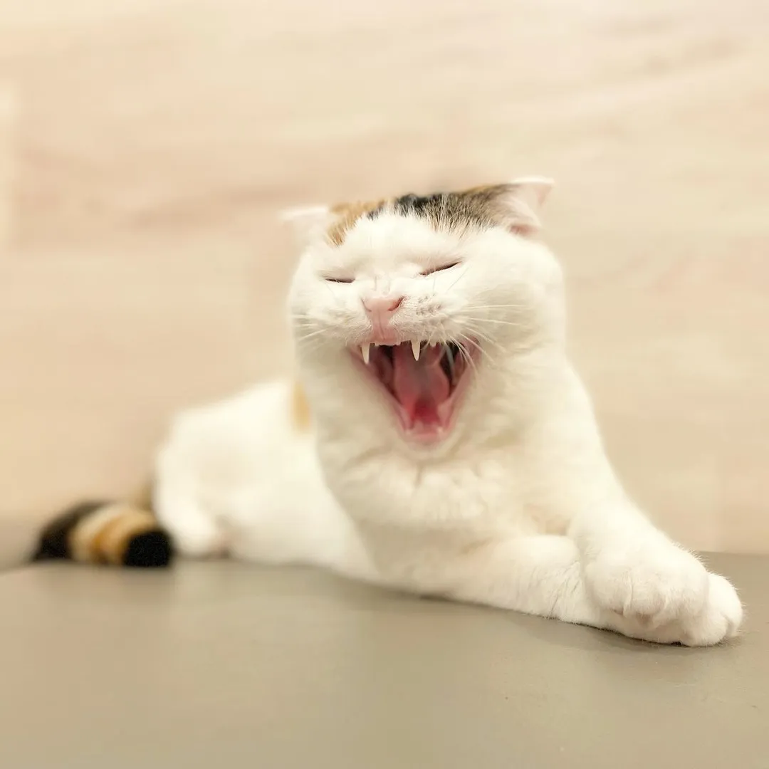 投稿の写真2