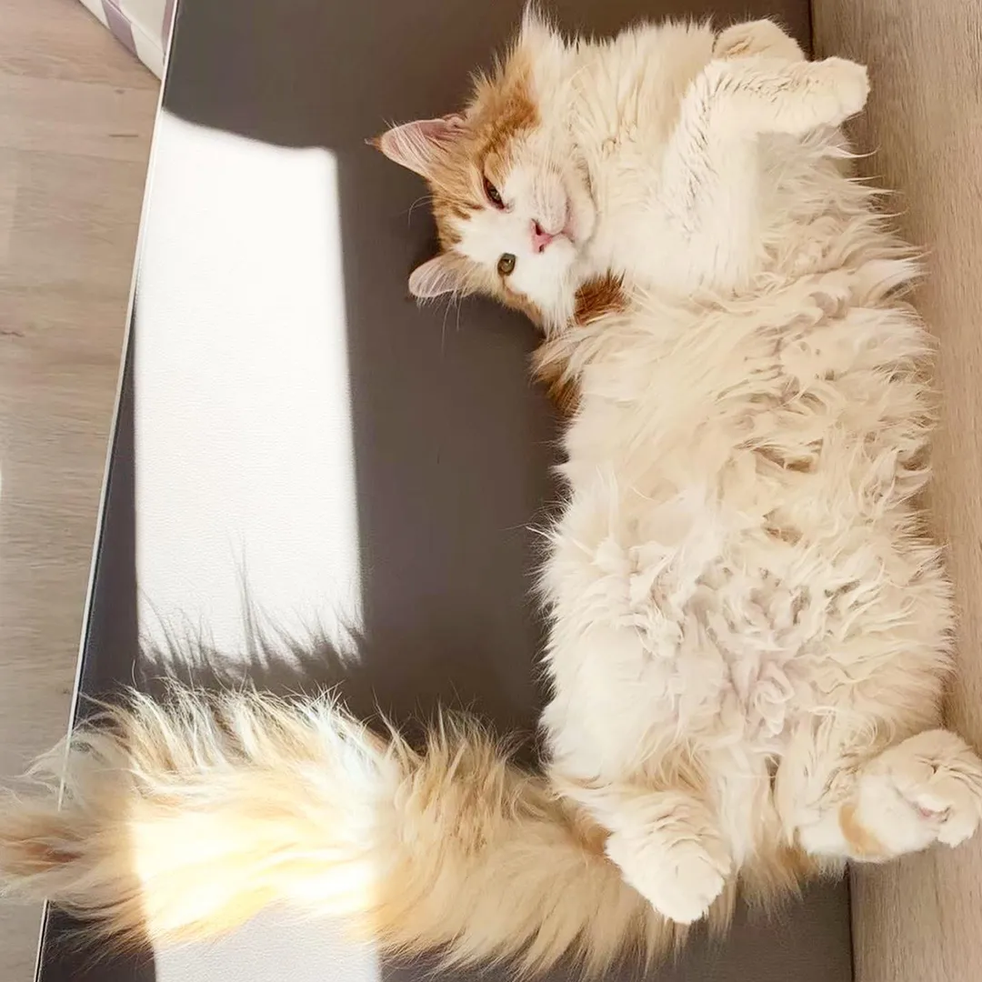 投稿の写真5