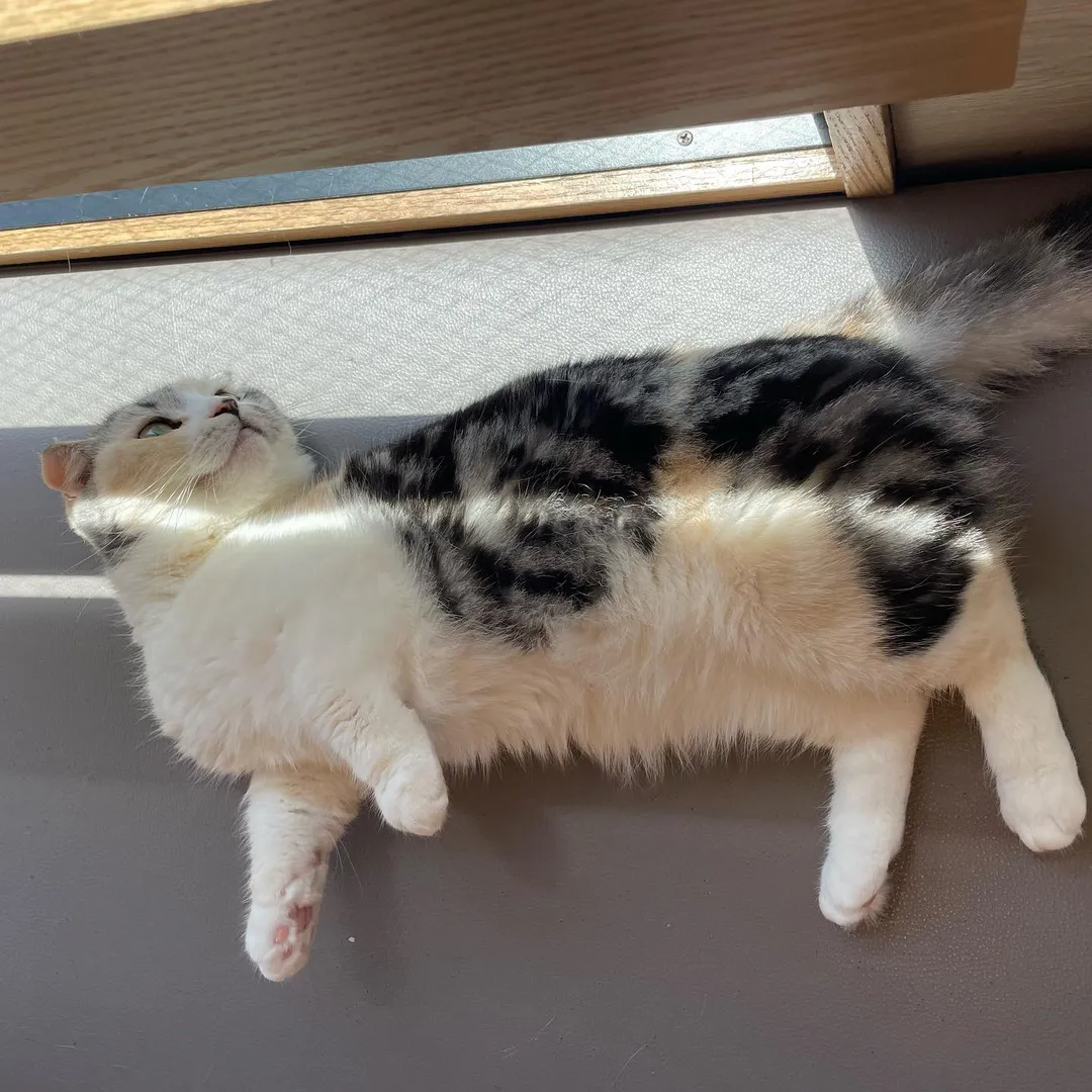 投稿の写真2