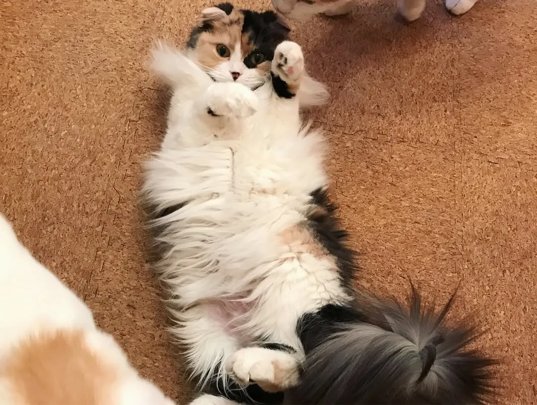 投稿の写真6