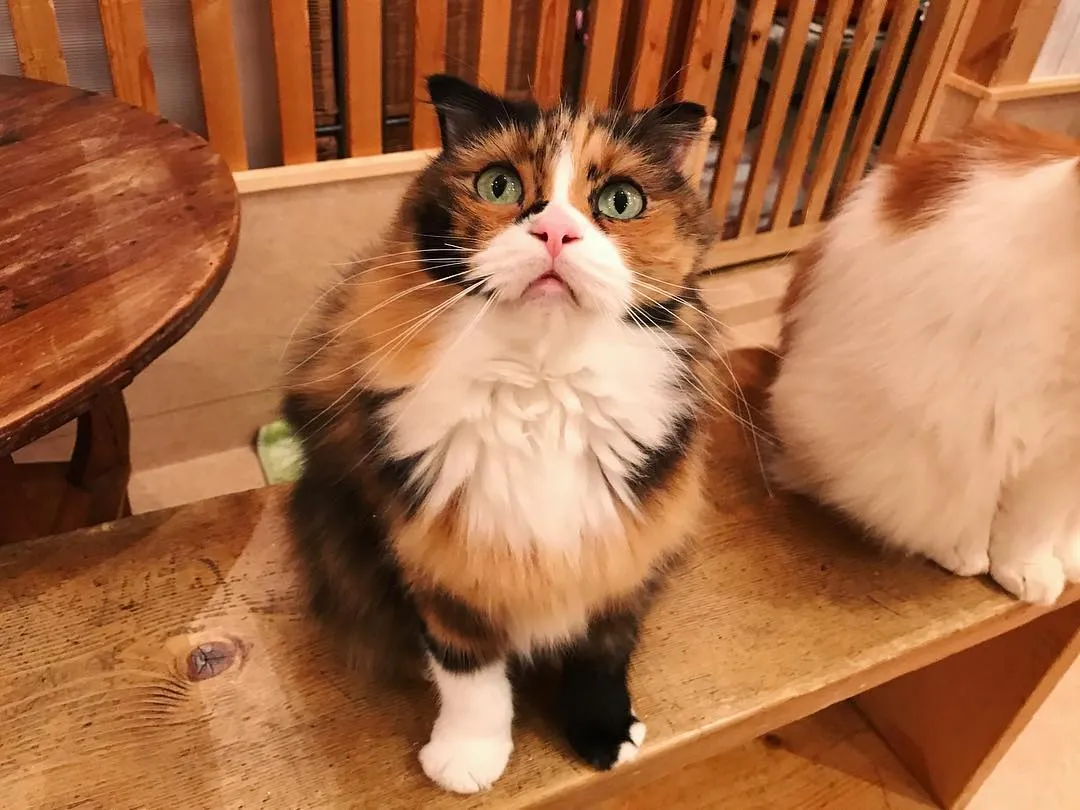 投稿の写真2