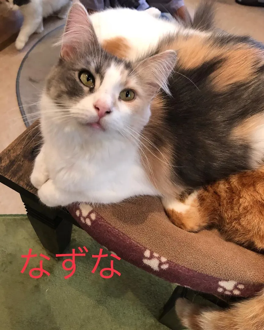 投稿の写真7