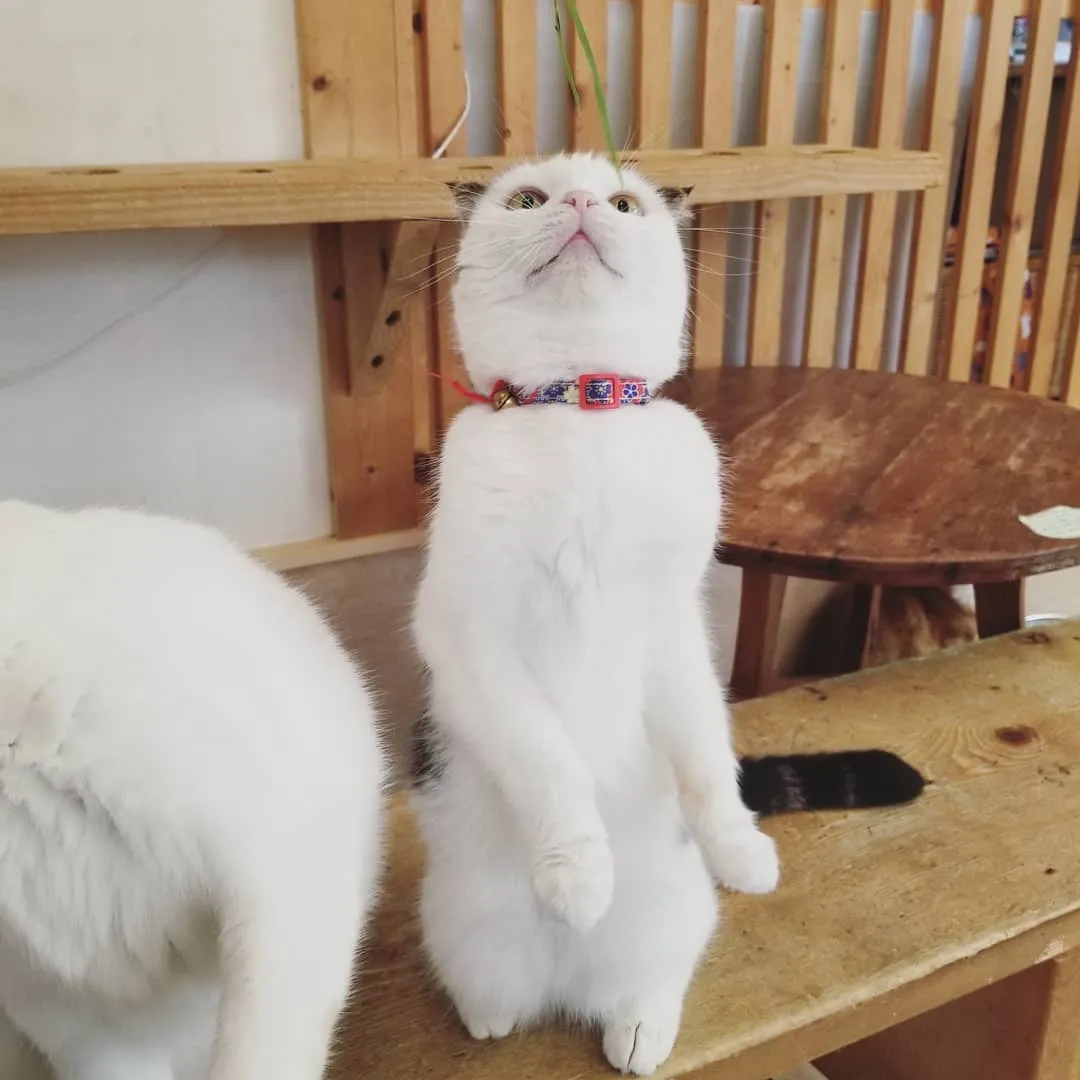 投稿の写真2