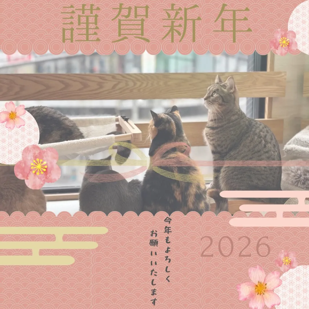 投稿の写真