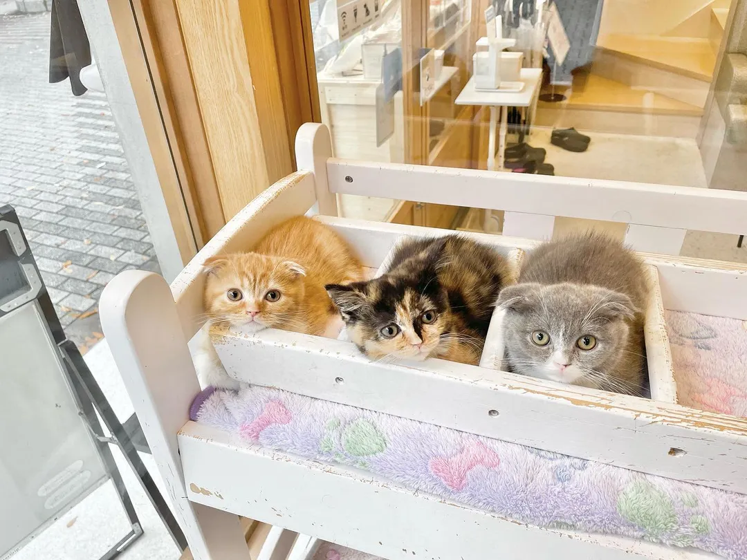 投稿の写真1