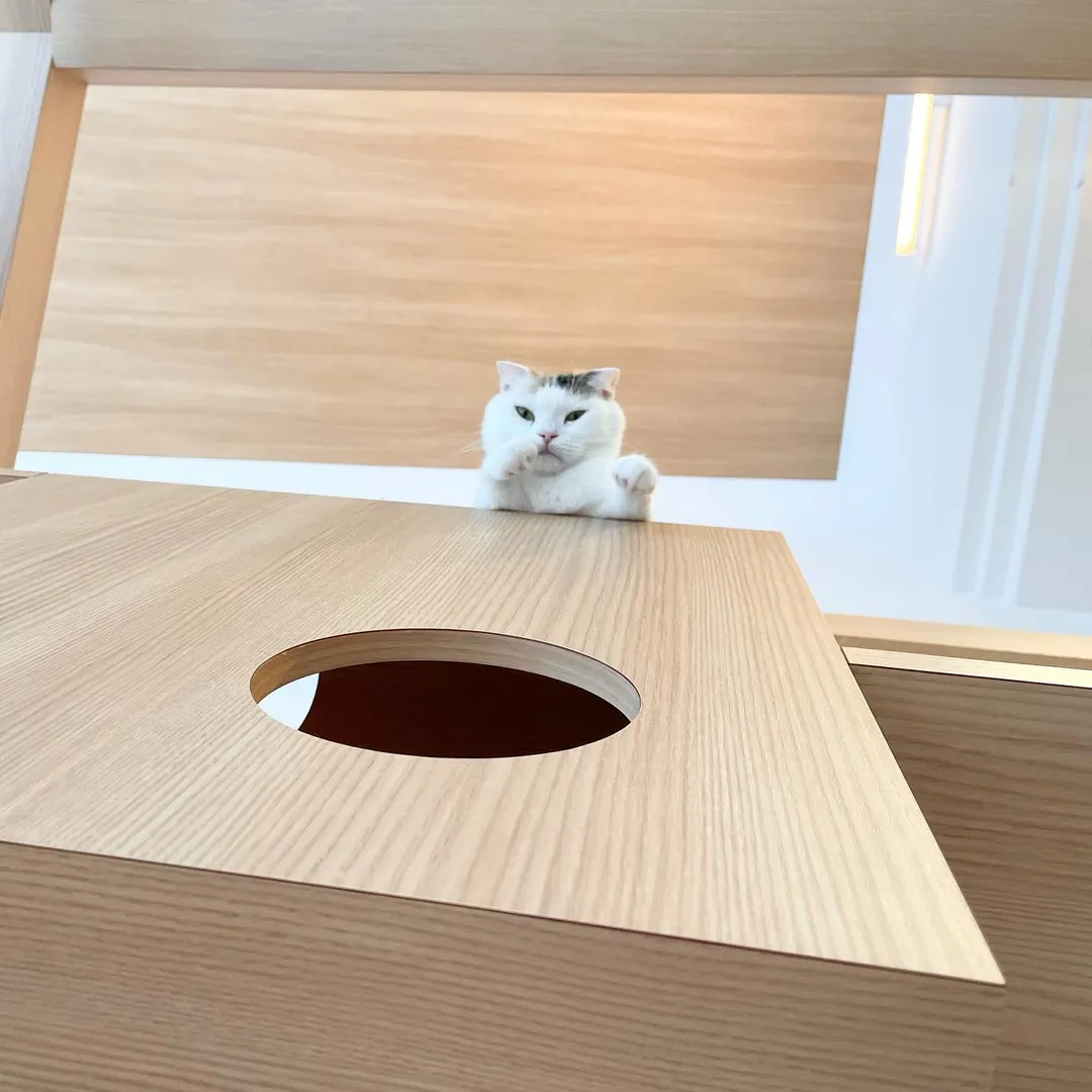 投稿の写真2