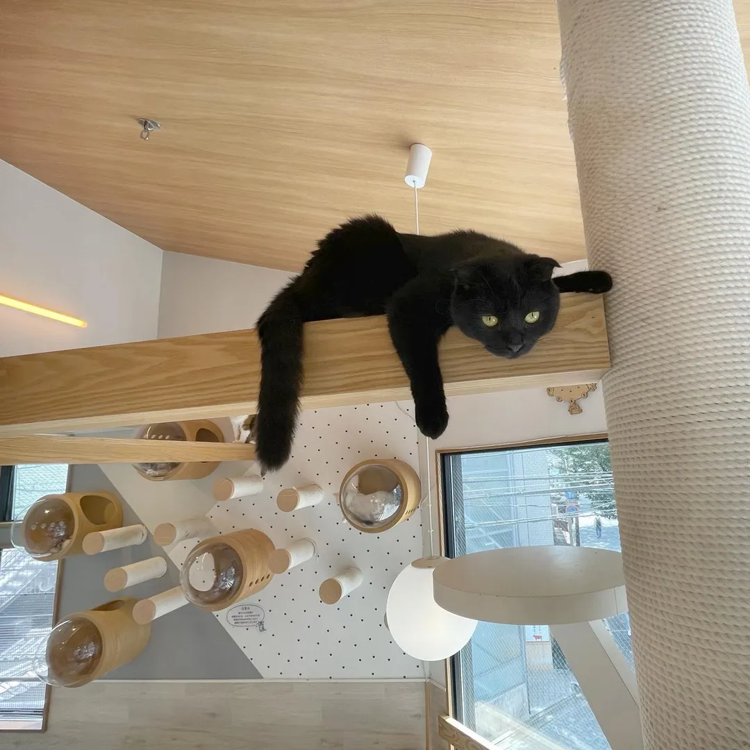 投稿の写真2