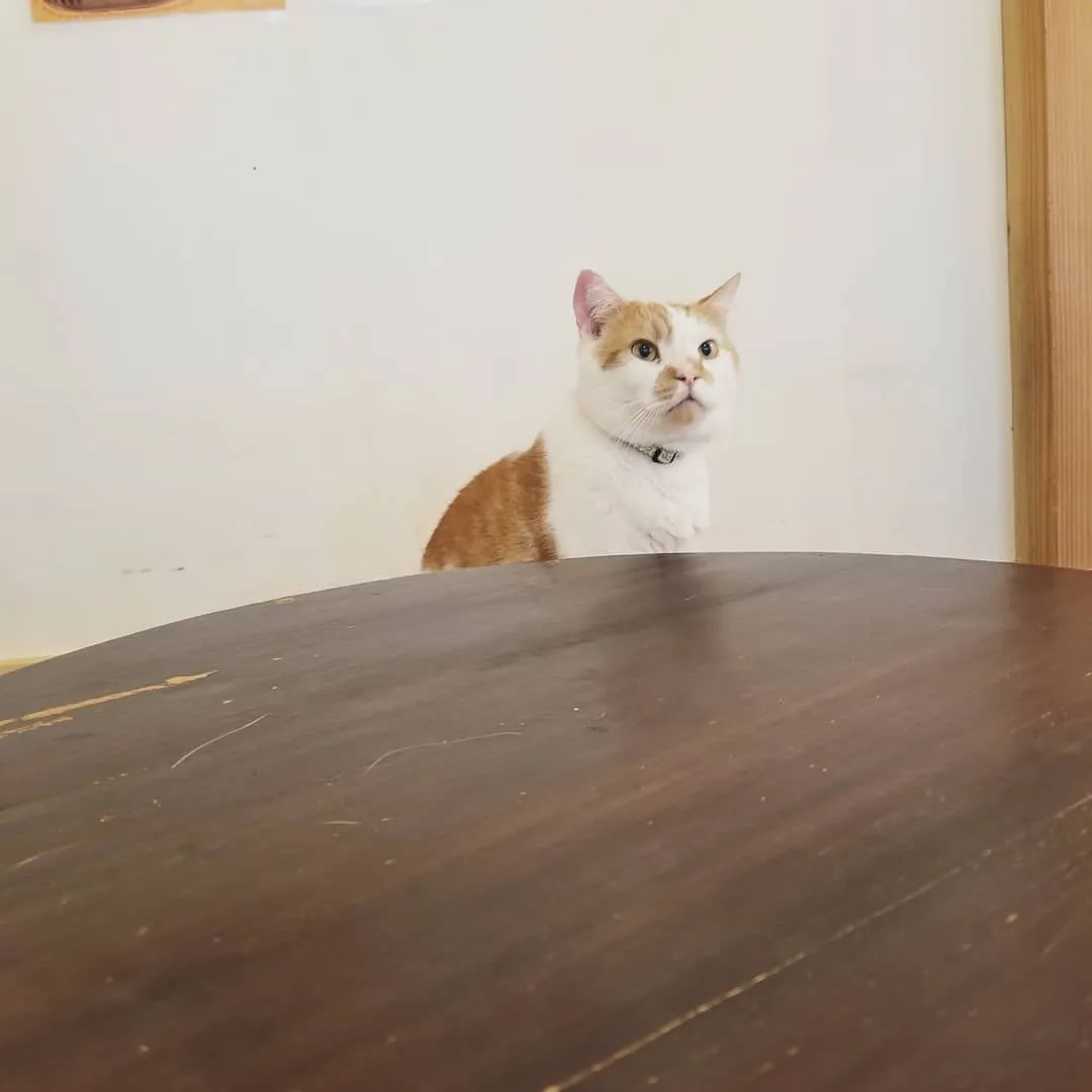 投稿の写真3
