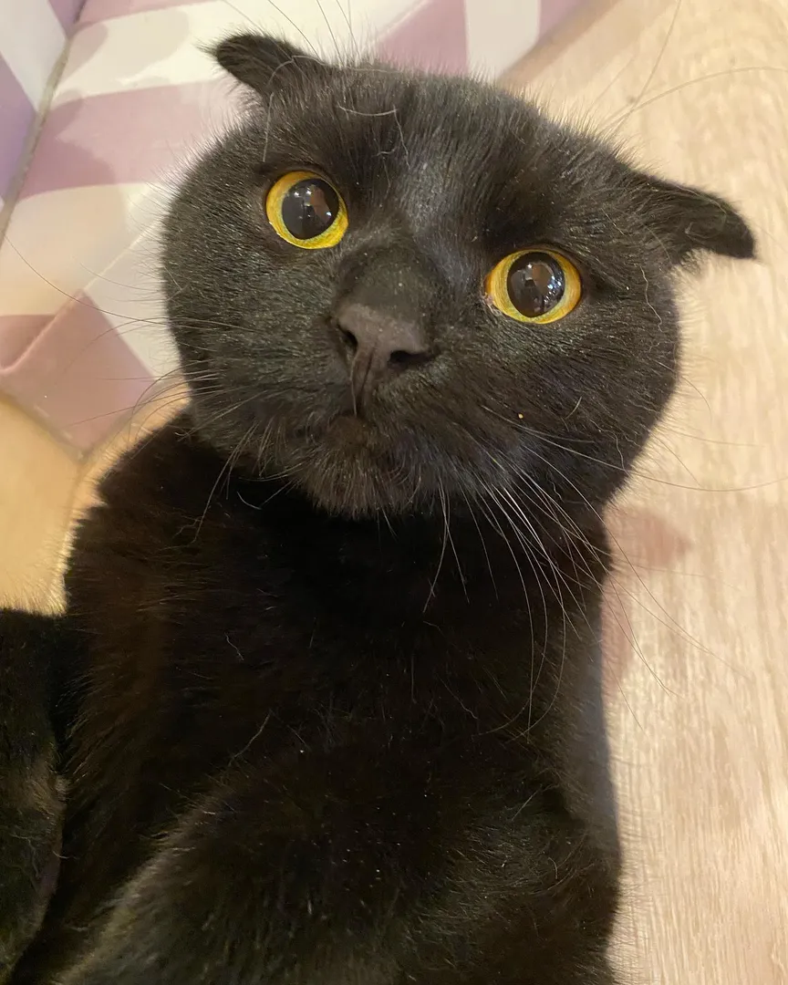 投稿の写真2