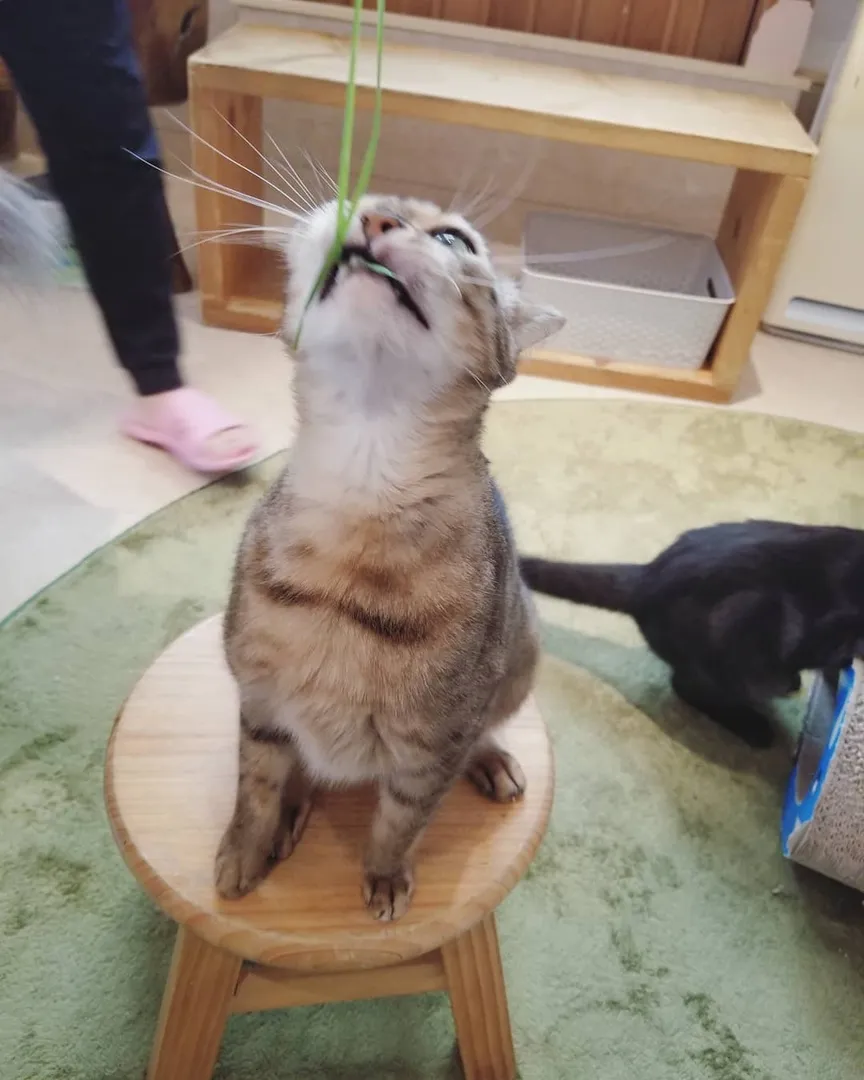 投稿の写真3