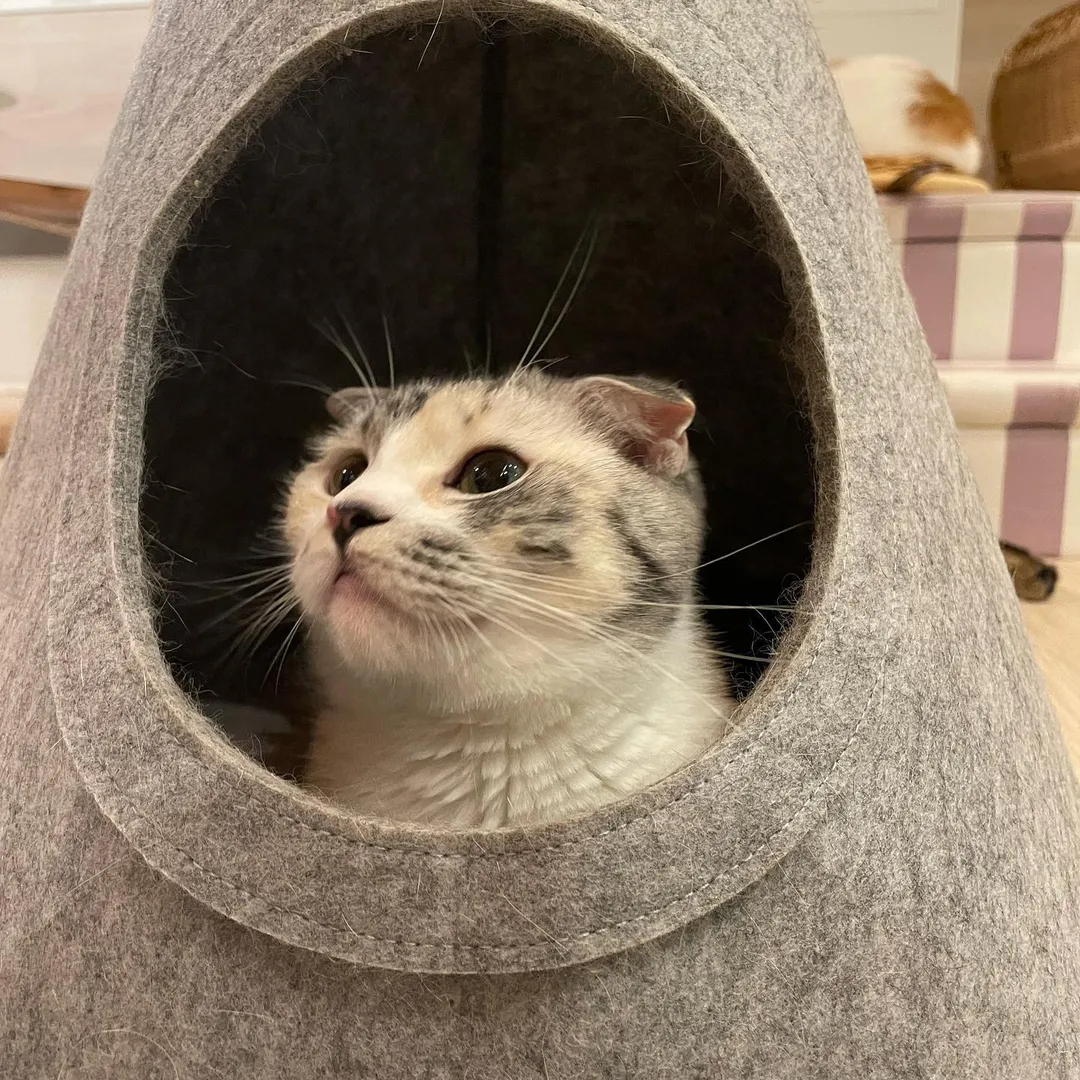 投稿の写真2