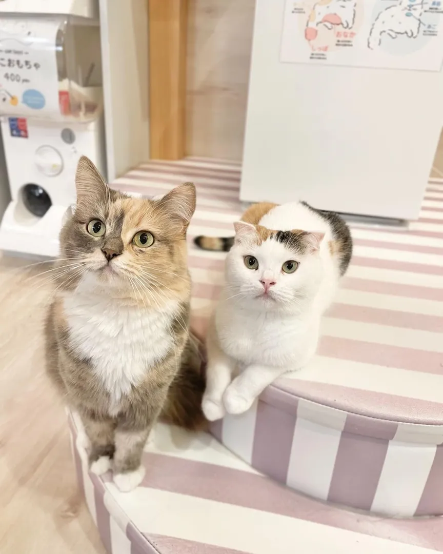 投稿の写真2