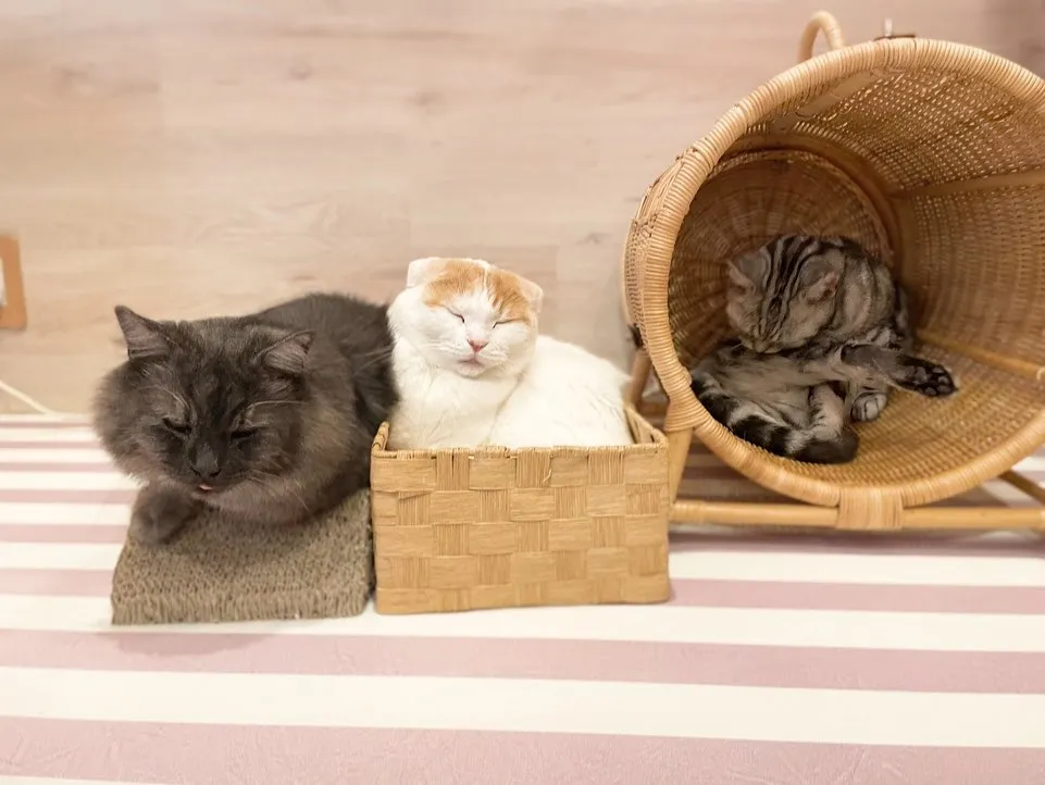 投稿の写真2
