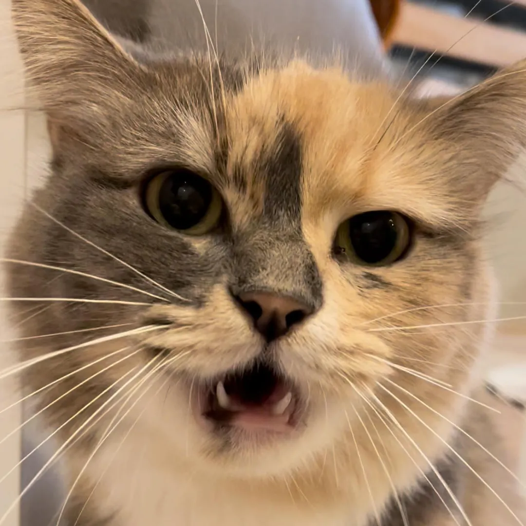 投稿の写真2