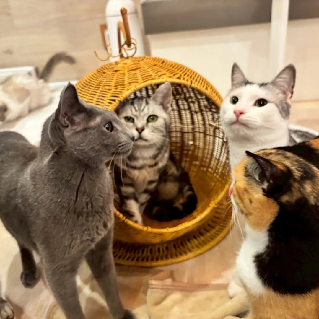 投稿の写真10